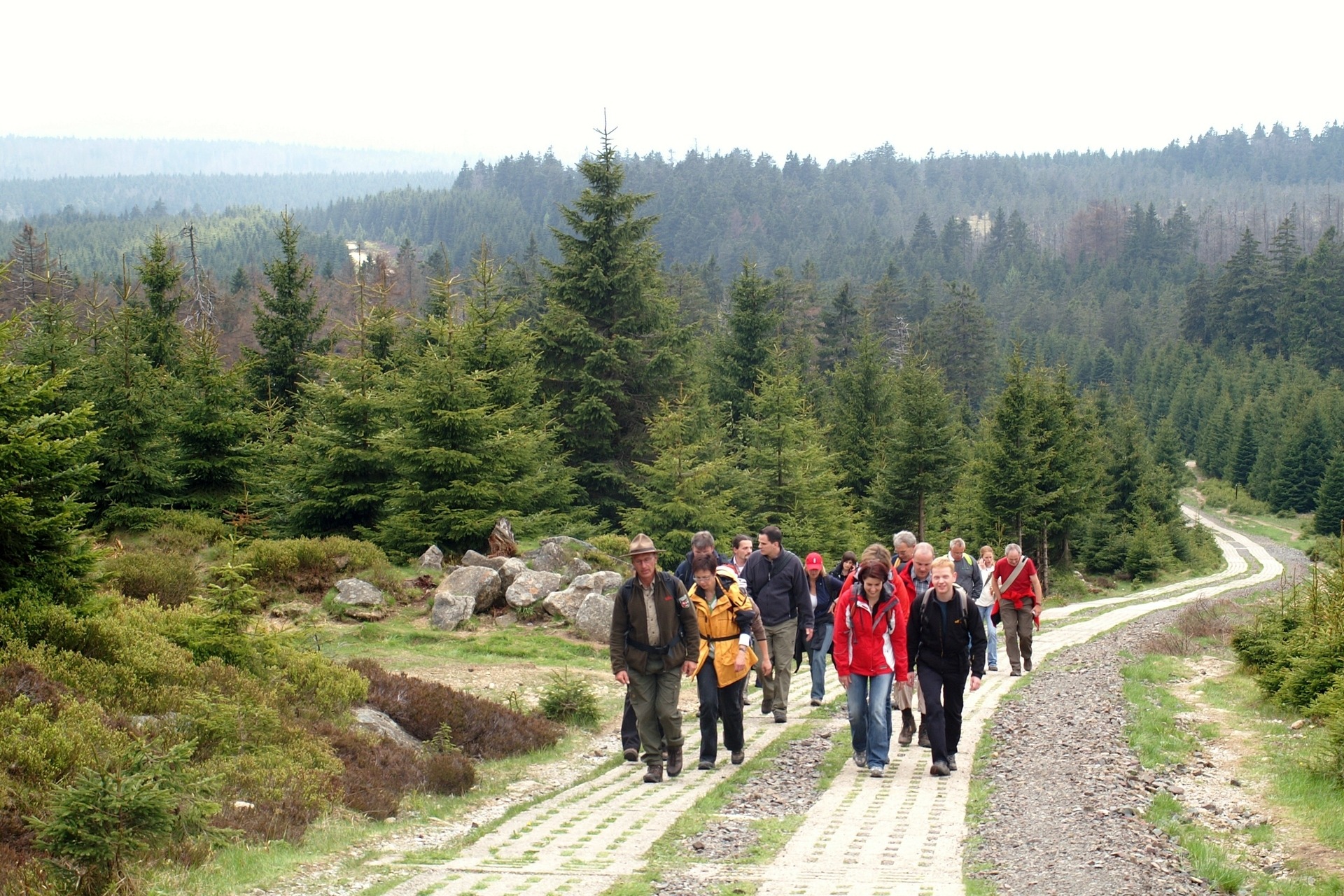 Wandern im Harz: Brockenwanderung